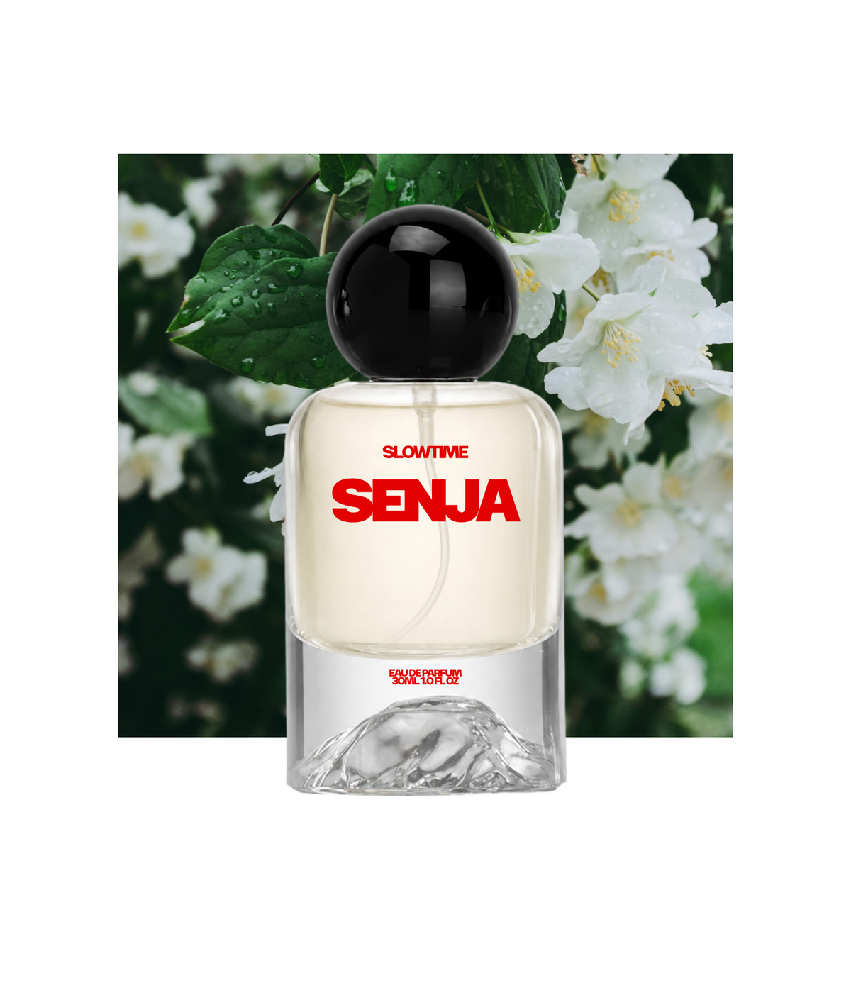 SENJA