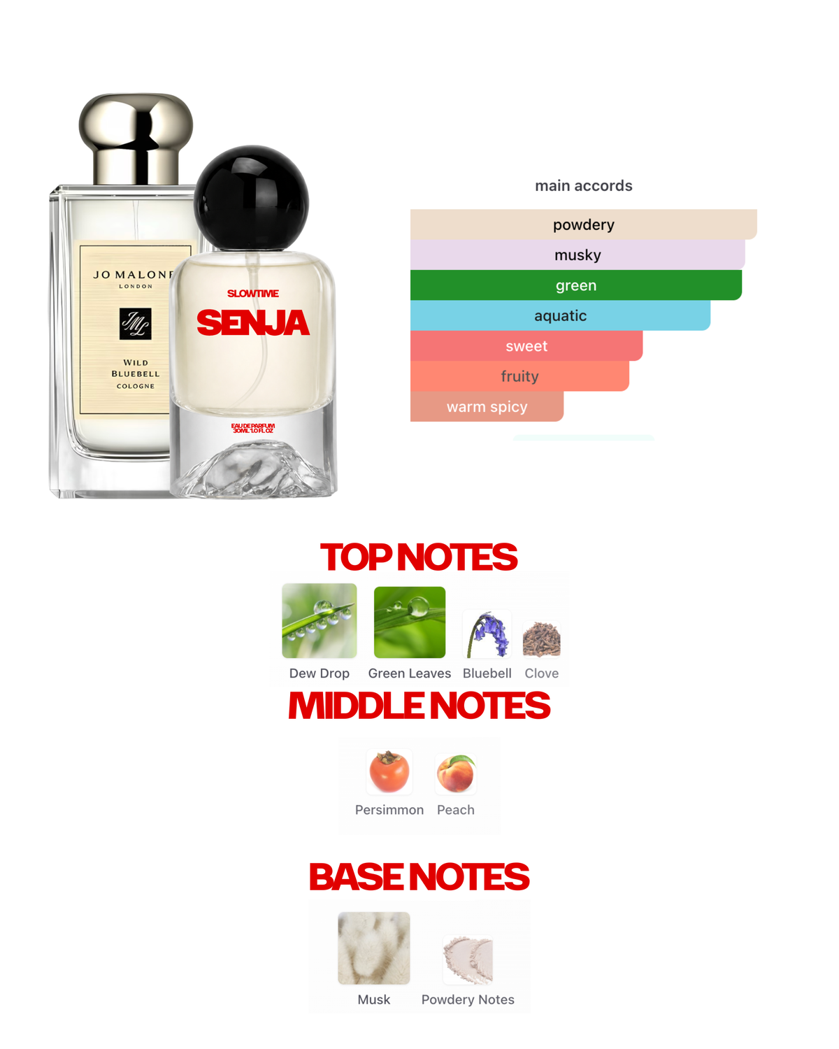 SENJA